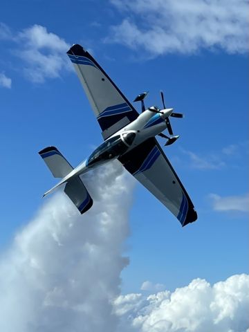 GAME COMPOSITES GB-1 GameBird (N317CT)