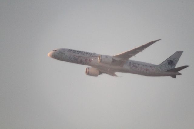 Boeing 787-9 Dreamliner (XA-ADL) - DEPARTURE FROM 27 MMTJ, MÉXICO