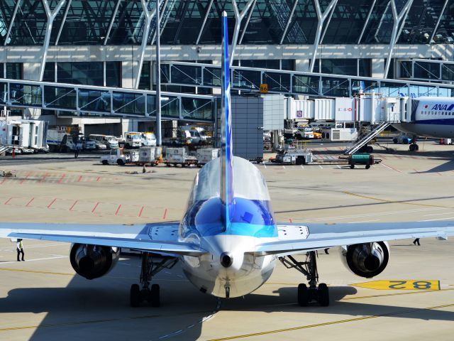 BOEING 767-300 (JA622A)
