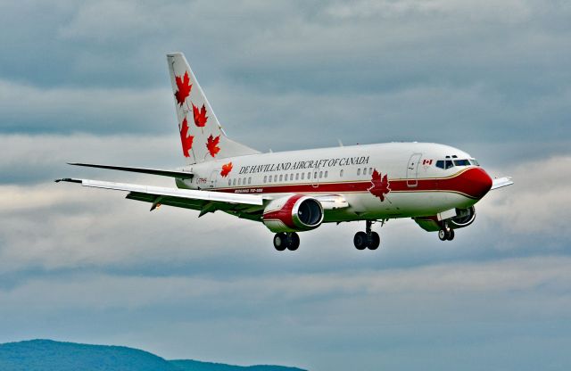 Boeing 737-500 (C-FPHS) - Landing on 24R in CYHU. 01-06-2025