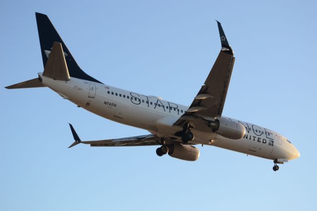 Boeing 737-800 (N76516) - UNITED 737-800 in "STAR ALLIANCE" c/s #2-- lands @ LAX on 24R--sporting new "Split-Scimitars".  (#N76516)