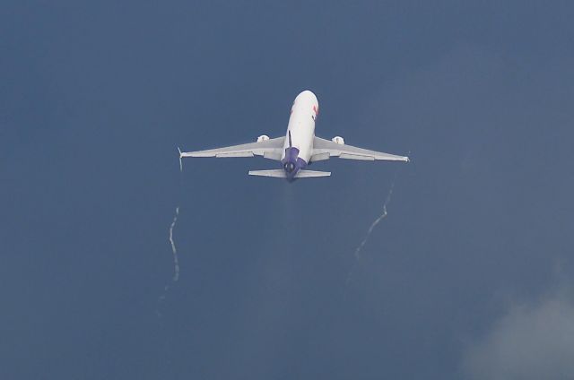 Boeing MD-11 (N613FE) - I take a picture on Aug 18, 2017.