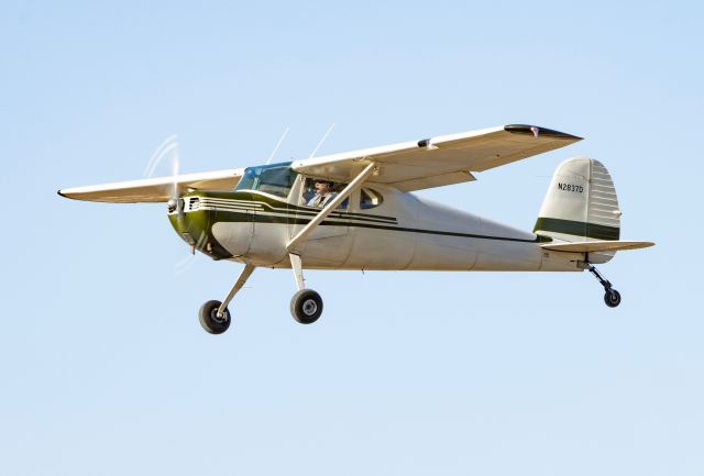 Cessna 140 (N2837D) - N2837D