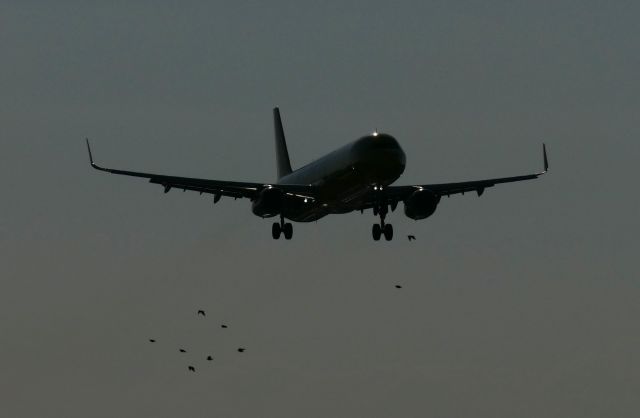 Airbus A321 (N668NK)