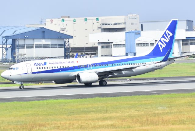 Boeing 737-800 (JA55AN)