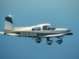 N28350 thumbnail