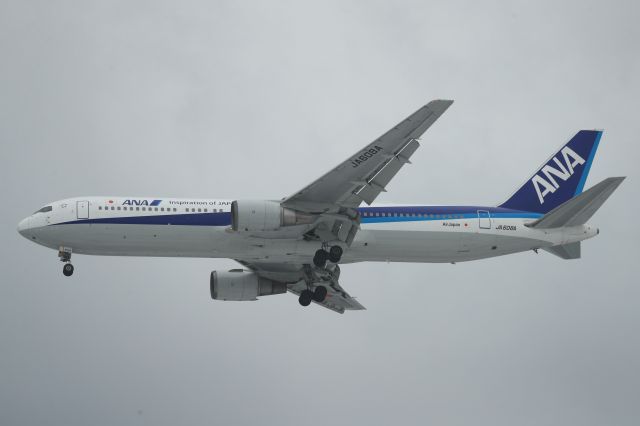 BOEING 767-300 (JA608A) - January 23rd 2019:HND-HKD.