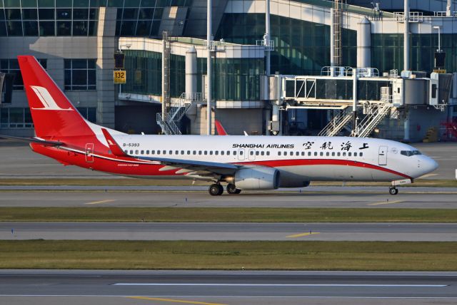 Boeing 737-800 (B-5393)