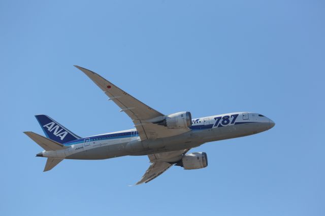 Boeing 787-8 (JA804A)