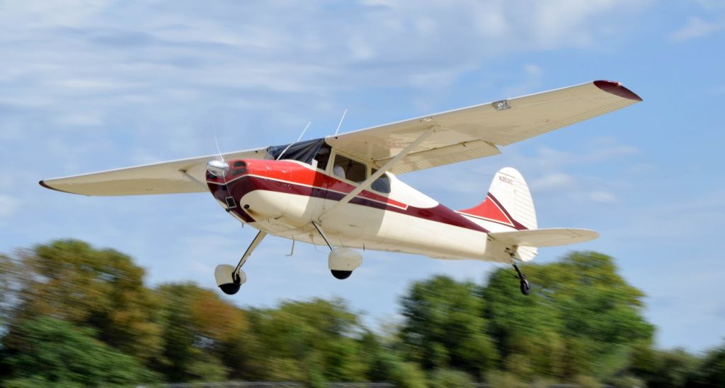 Cessna 170 (N3531C) - N3531C