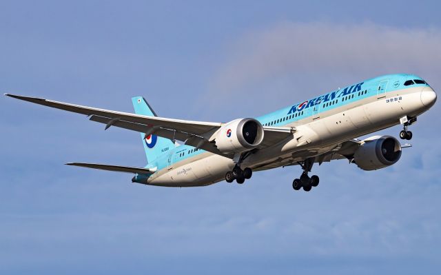 Boeing 787-9 Dreamliner (HL8081)