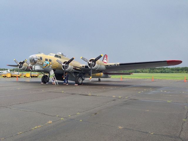 Boeing B-17 Flying Fortress (N93012) - Park at Ronson Aviation