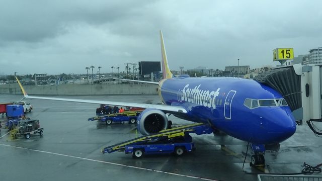 Boeing 737 MAX 8 (N8709Q) - A beautiful closeup shot of this new Southwest Airlines Boeing 737 MAX 8 parked at the terminal at LAX waiting for its flight to Nashville.
