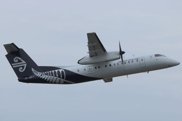 de Havilland Dash 8-300 (ZK-NET)