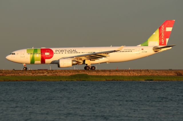 Airbus A330-200 (CS-TOM) - Air Portugal 218 to Lisbon lining up for a 22R departure