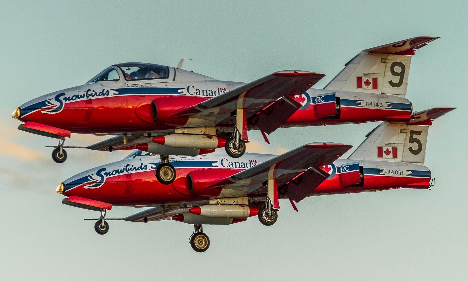 Canadair CL-41 Tutor (11-4143) - Two more Snowbirds arriving at YYZ on the eve of their flyover of the Raptors parade, waning light