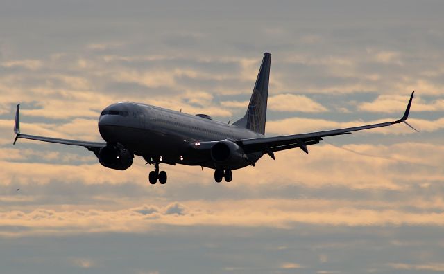 Boeing 737-900 (N69806) - Arriving in beautiful morning weather from KORD.