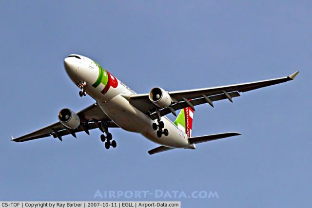 Airbus A330-200 (CS-TOF) - Esta Aterrizando