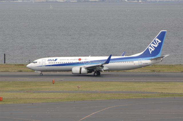 Boeing 737-800 (JA55AN) - Landing at HND Airport R/W34R on 2011/09/25 ANA c/s