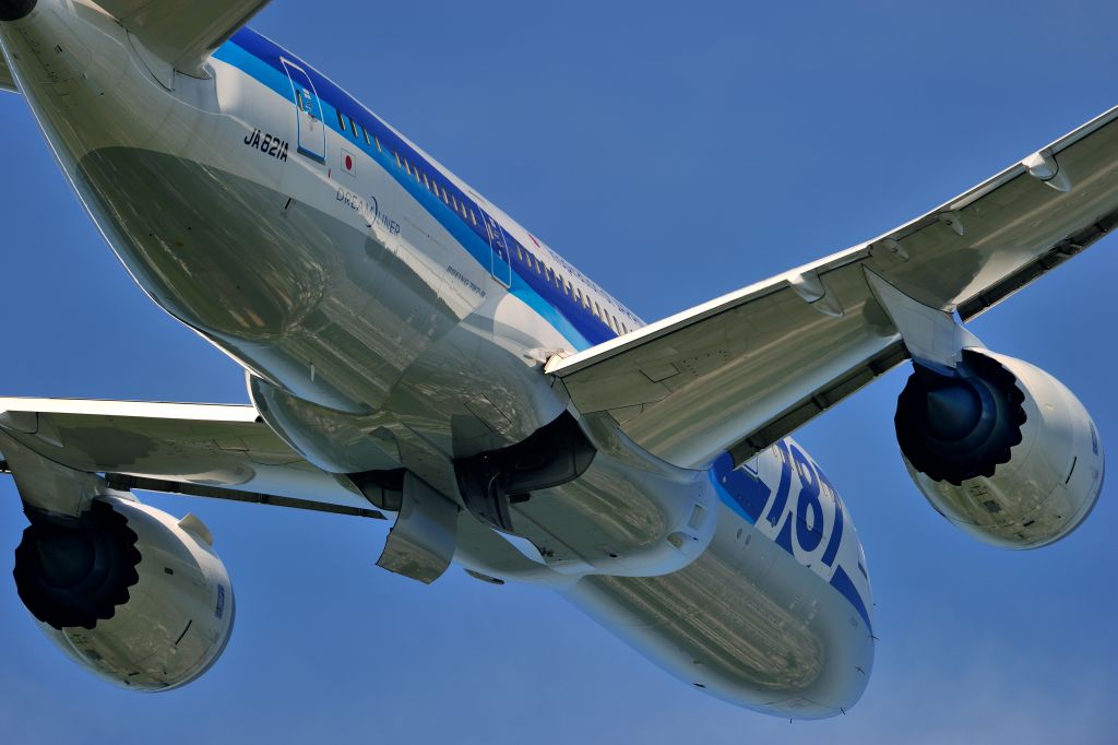 Boeing 787-8 (JA821A)