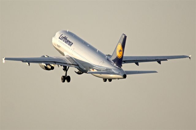 Airbus A319 (D-AILC)