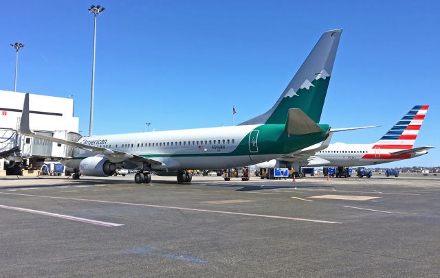 Boeing 737-800 (N916NN) - Reno Air Heritage Livery