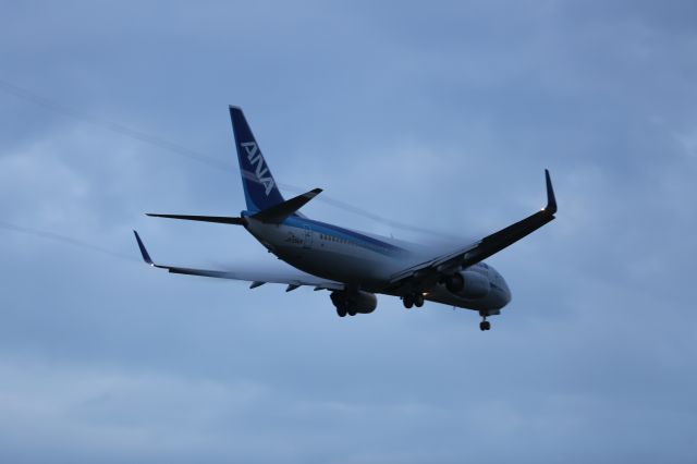 Boeing 737-800 (JA55AN) - 03 June 2016:HND-HKD.