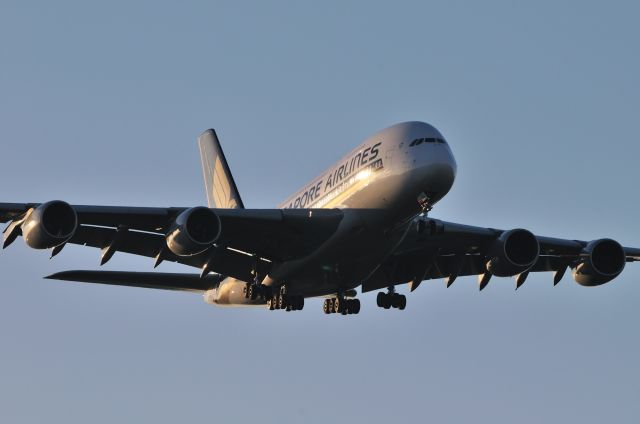 Airbus A380-800 (9V-SKJ) - 2010/12/5