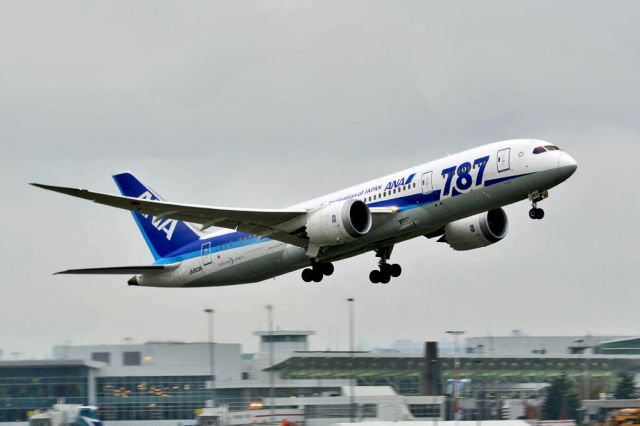 Boeing 787-8 (JA803A)