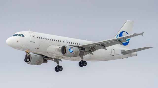 Airbus A319 (LY-VET)