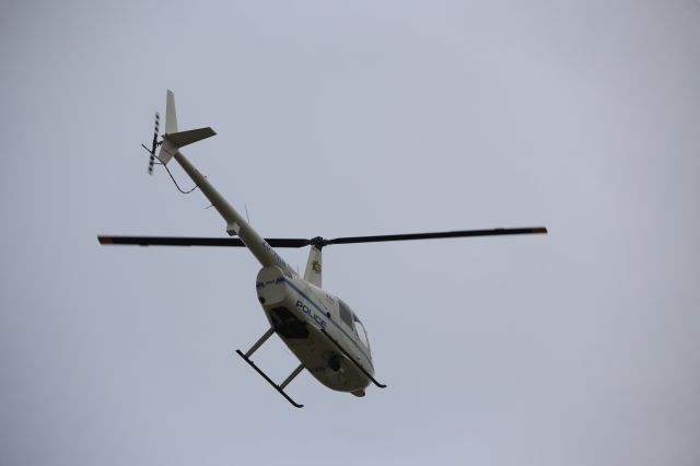 Robinson R-44 (ZS-RKN)