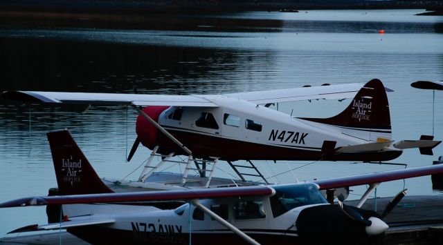De Havilland Canada DHC-2 Mk1 Beaver (N47AK) - Resting at gate C3br /Reg: N47AKbr /MSN: 726br /Type: De Havilland Canada DHC-2 Beaver--DHC2--CN1br /Photo date: 11-11-24br /Upload date: 11-13-24