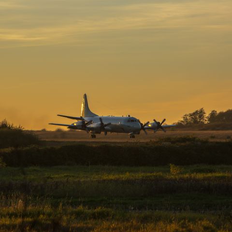 Lockheed P-3 Orion (N610)