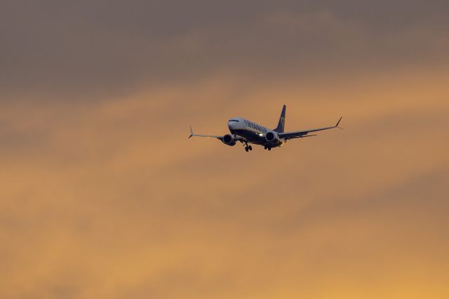 Boeing 737 MAX 8 (EI-IHE) - Lowering the undercarriage on approach of runway 31.