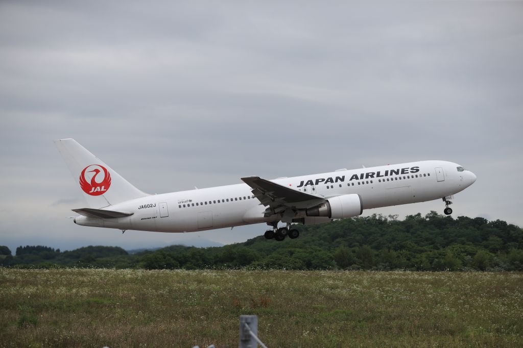 BOEING 767-300 (JA602J) - August 03, 2024:HKD-HND.