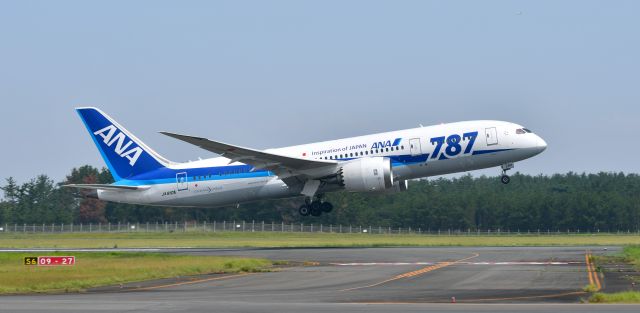 Boeing 787-8 (JA810A)