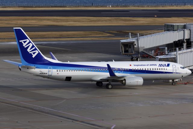 Boeing 737-800 (JA80AN)