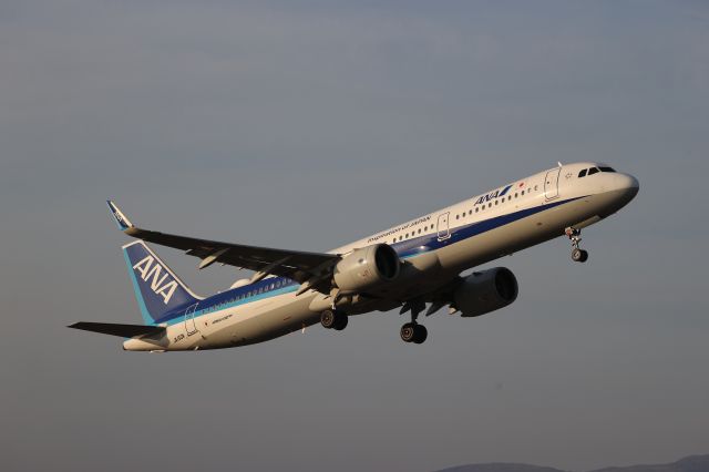 Airbus A321neo (JA150A) - November 16, 2024:HKD-HND.