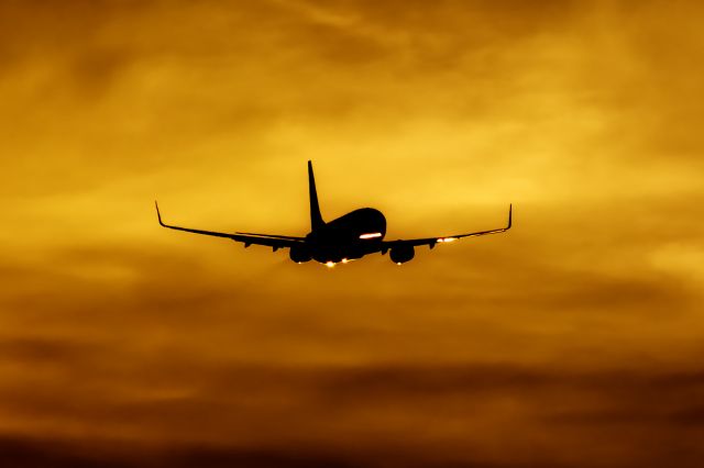 Boeing 737-800 (EI-EVD)