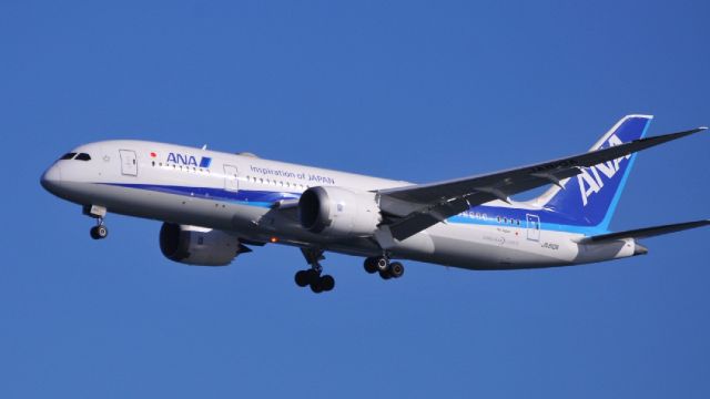 Boeing 787-8 (JA810A)