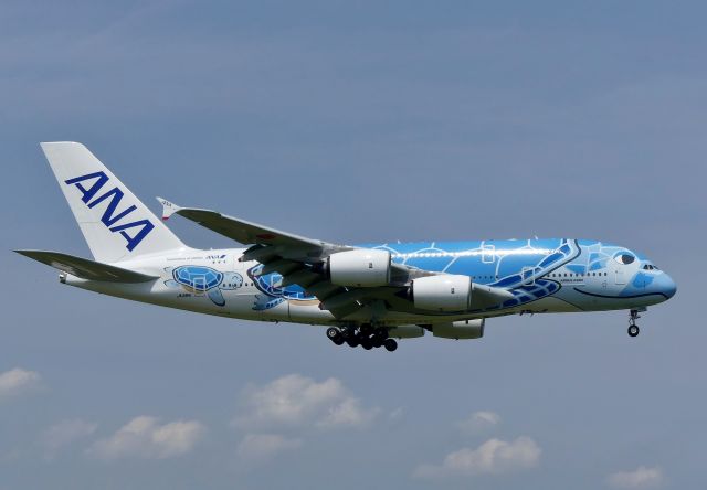 Airbus A380-800 (JA381A) - Tokyo-Narita(NRT) 2019/06/06