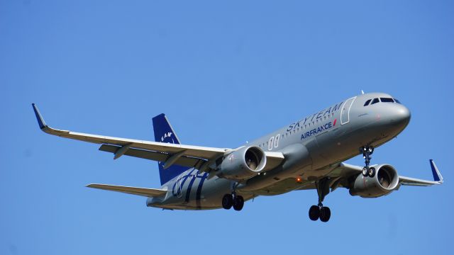 Airbus A320 (F-HEPI) - landing @ Brest Bretagne Airport (Skyteam livery)