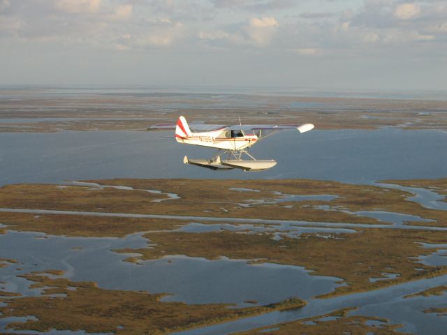 Piper L-21 Super Cub (N1186A)