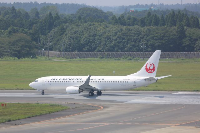 Boeing 737-800 (JA302J)