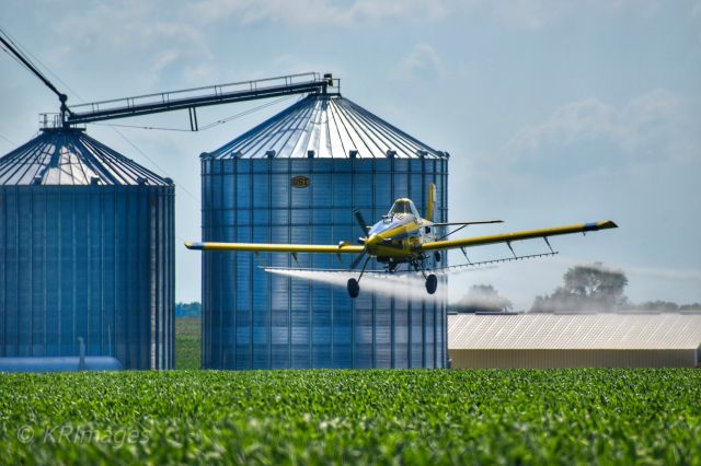 N5196T — - Bean field Royal Lakes, Il 7/24/20