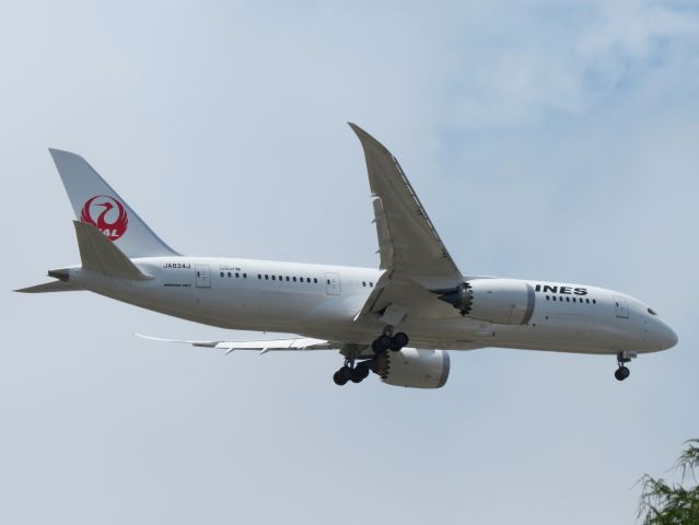 Boeing 787-8 (JA834J) - JALs newest 787 on final approach to SAN. This was my first time seeing a JAL 787 from Balboa Park. Ive noticed most SAN spotters just go down to the airport to get pictures (Laurel Street parking lot), but, especially during the summer, I get some of my favorite and best shots from Balboa. There are also lots of museums, trails, and little grassy areas to enjoy. Please vote!