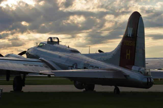 Boeing B-17 Flying Fortress (N5017N)