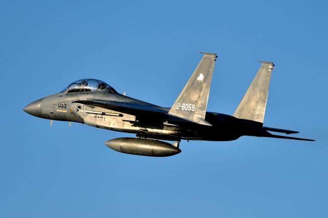 McDonnell Douglas F-15 Eagle (32-8059) - Nyutabaru Air Base JASDF(航空自衛隊 新田原基地 第５航空団)