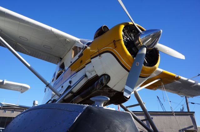 De Havilland Canada DHC-3 Otter (N9766Z)