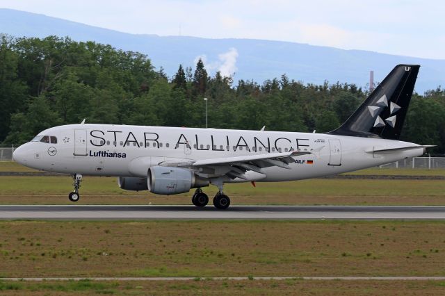 Airbus A319 (D-AILF) - "Star Alliance" livery